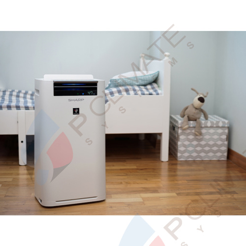Воздухоочиститель Sharp KCG41RW