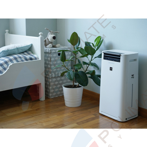 Воздухоочиститель Sharp KCG61RW